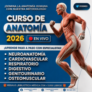 Curso Anatomia desde Cero 2026