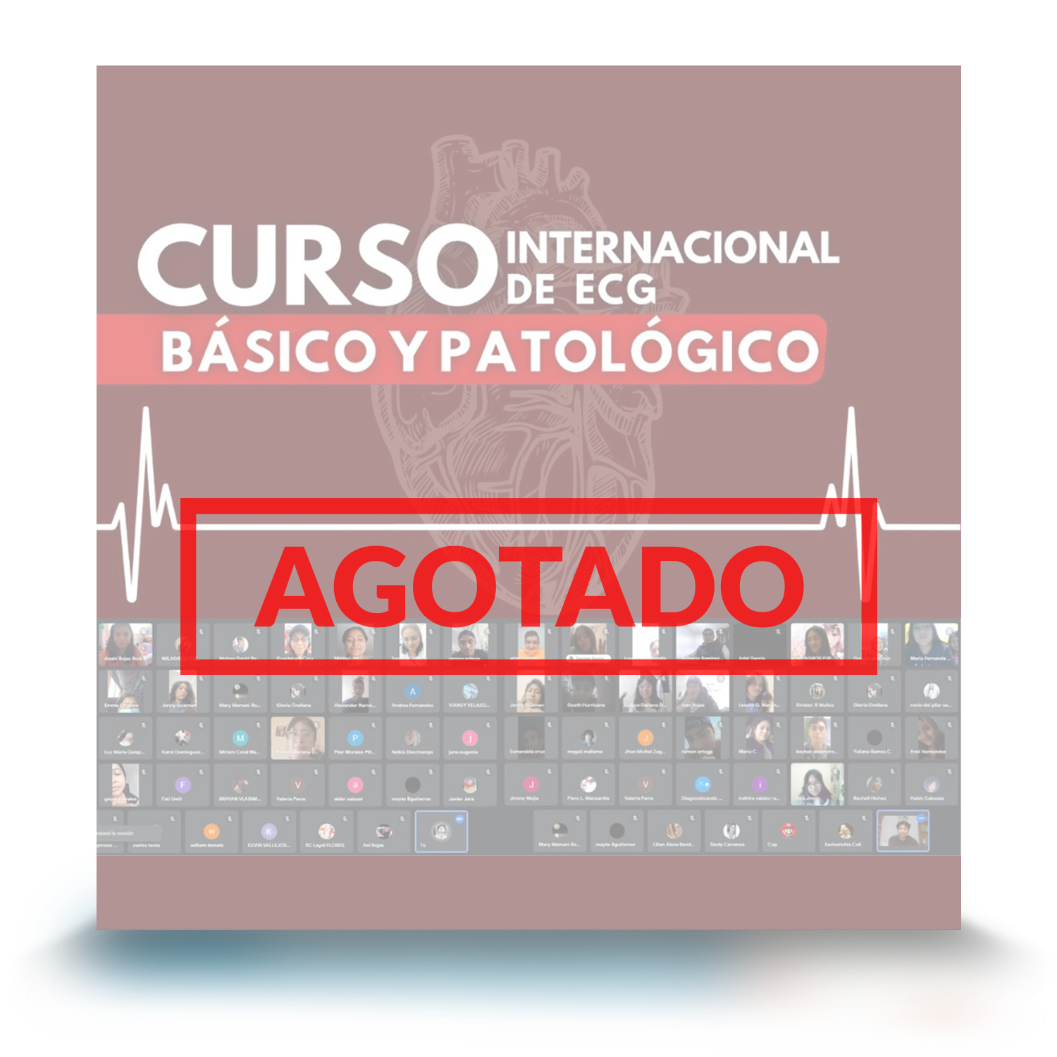 Curso Internacional de ECG